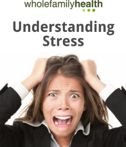 Understanding Stress Image - Whole Family Health
