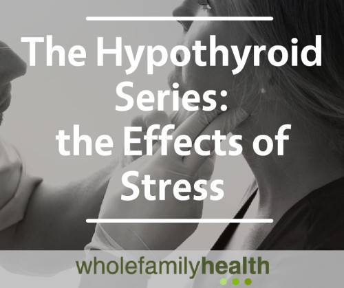 Hypothyroid Series Banner Image